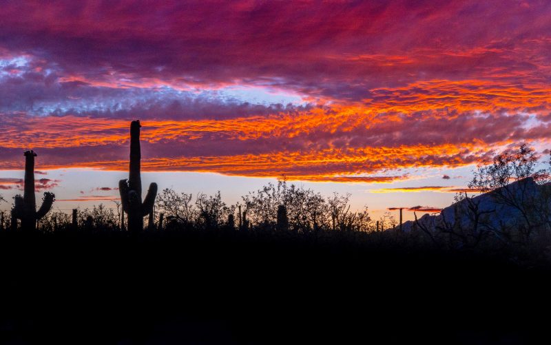 Sunset Tucson