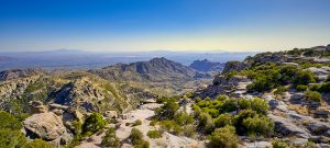 Mount Lemmon View