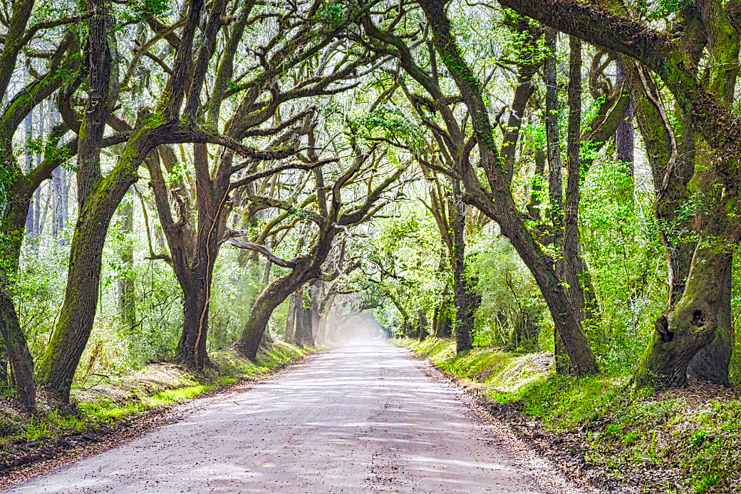 Botany Bay PLANTATION on EDISTO ISLAND, South Carolina – THE TRAVELING ...